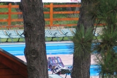 Piscina Rustic Baia Sprie - Maramures-3964