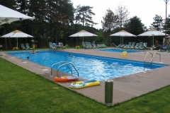 Piscina Rustic Baia Sprie - Maramures-6828